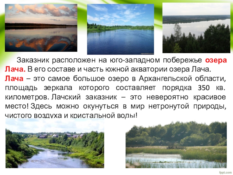 Озеро лача архангельской области описание
