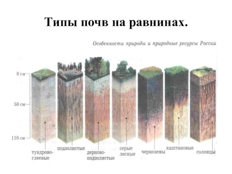 Практико-ориентированный проект Как улучшить пришкольный участок Типы почв на равнинах. Типы почв на равнинах.