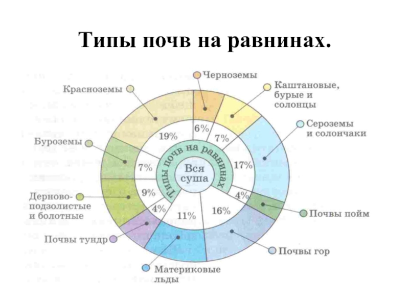 Практико-ориентированный проект Как улучшить пришкольный участок Типы почв на равнинах. Типы почв на равнинах.