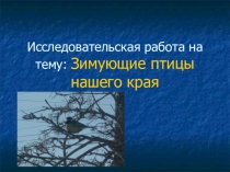 Презентация по географии на тему Зимующие птицы Казанского района