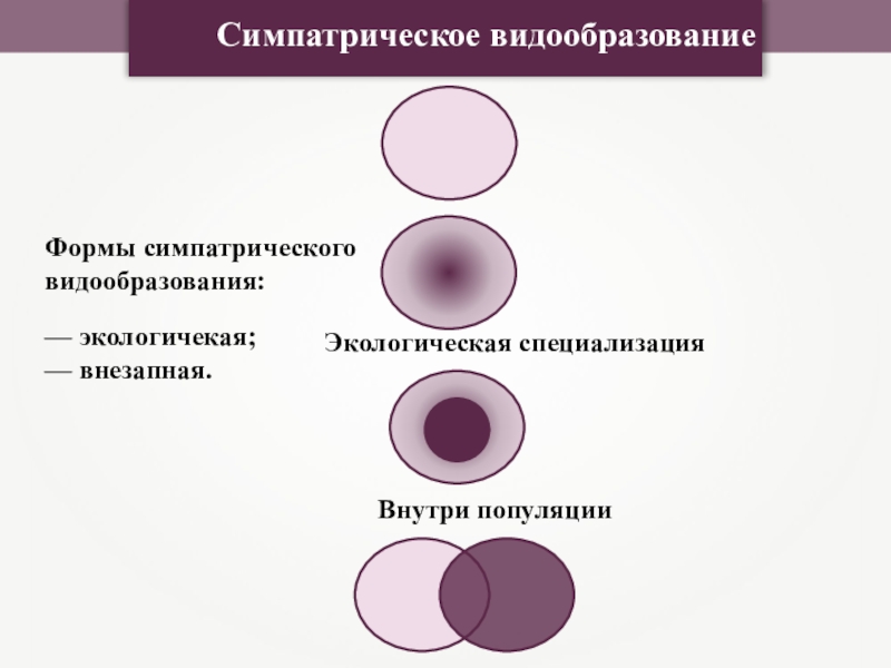 Видообразование биология. Основные формы видообразования (аллопатрическое, симпатрическое).. Симпатрическое видообразование формы. Симпатрическое видообразование способы. Способы симпатрического видообразования схема.