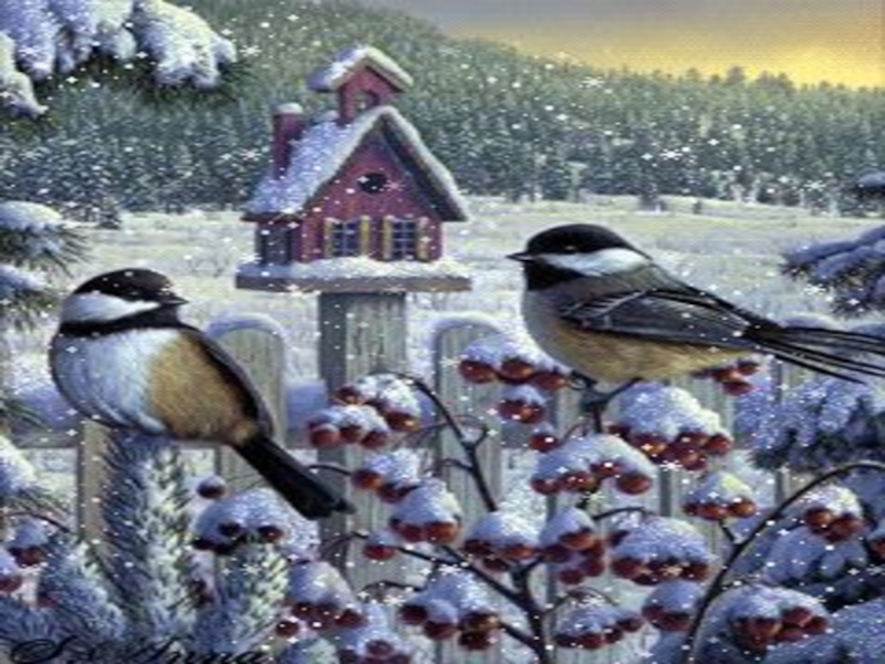 На обед слетелись синички и снегири. Кормушки для птиц зимой. Синицы на кормушке зимой. Кормушка для птиц картина. Кормушка Покормите птиц.