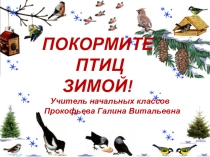 Презентация к проекту Покормите птиц зимой!