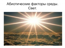 Презентация по биологии для 9, 11 классов.