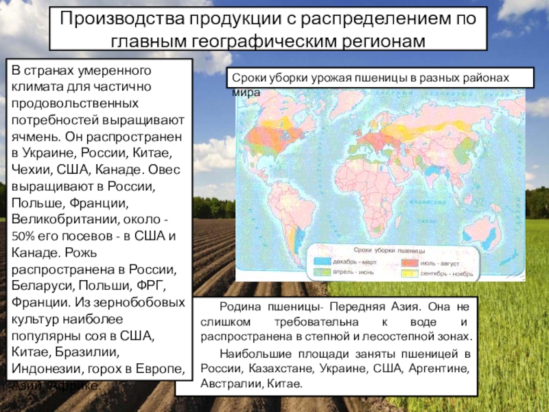 Занимает большую площадь. Размеры производства. Размеры производства продукции. Размеры производства продукции с распределением. Размеры производства по главным регионам.