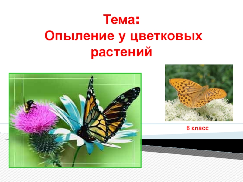 Презентация по биологии на тему способы опыления покрытосеменных растений