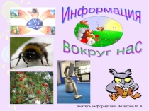 Презентация по информатике на тему Информация вокруг нас