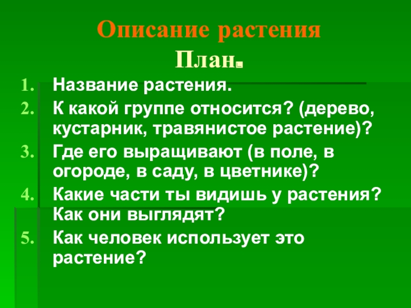 Почему план называют планом