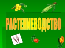 Презентация к уроку окружающий мир на тему Растениеводство(3класс)