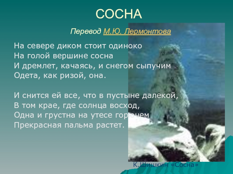 На севере диком стоит одиноко размер