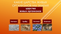 Презентация по биологии на тему: Бактерии (5 класс)
