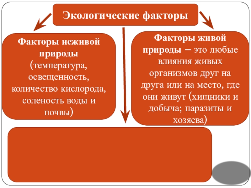 Факторы неживой природы температура