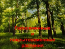 Презентация к уроку биологического краеведения в 7 классе Голосеменные и покрытосеменные растения Саратовской области