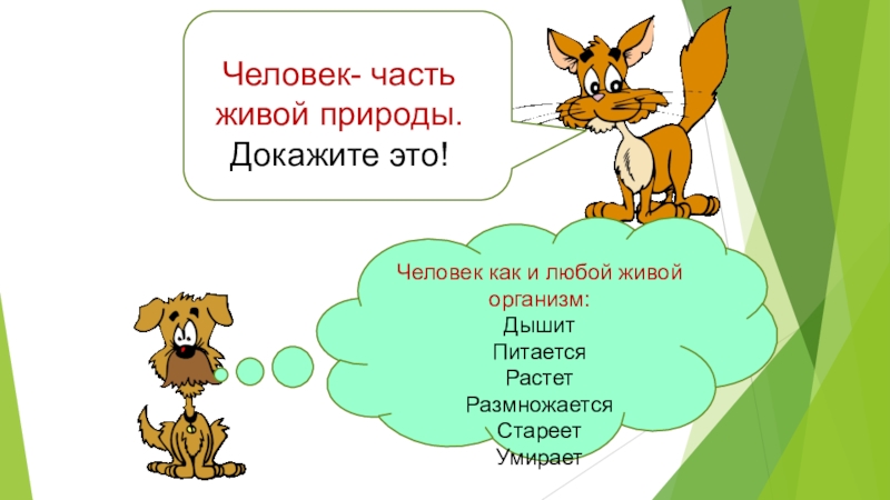 Презентация по биологии на тему: Человек - часть живой природы 6 класс Человек- часть живой природы.Человек- часть живой природы.Докажите это! Человек как и любой живой организм:ДышитПитаетсяРастетРазмножается СтареетУмирает Человек- часть живой природы.Человек- часть живой природы.Докажите это! Человек как и любой живой организм:ДышитПитаетсяРастетРазмножается СтареетУмирает