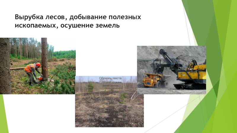 Презентация по биологии на тему: Человек - часть живой природы 6 класс Вырубка лесов, добывание полезных ископаемых, осушение земель Вырубка лесов, добывание полезных ископаемых, осушение земель