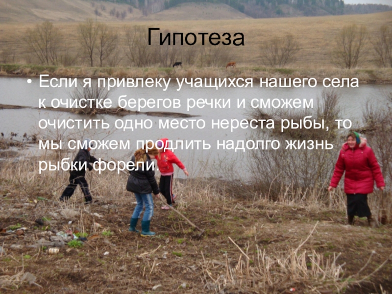 Презентация проектаЖиви, форель, живи! ГипотезаЕсли я привлеку учащихся нашего села к очистке берегов речки и ГипотезаЕсли я привлеку учащихся нашего села к очистке берегов речки и сможем очистить одно место нереста рыбы,