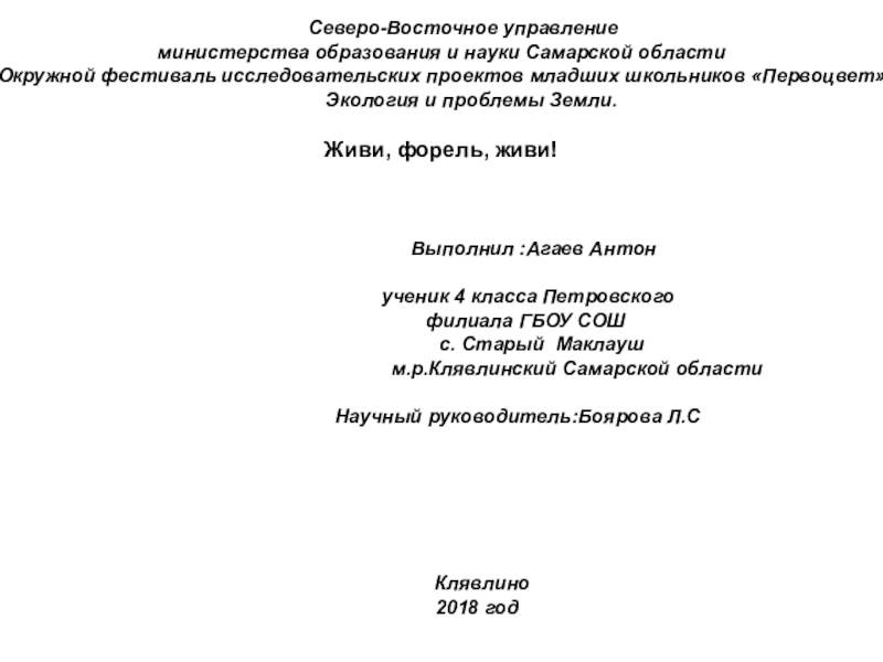 Презентация на тему Северо-Восточное управлениеминистерства образования и науки Северо-Восточное управлениеминистерства образования и науки Самарской областиОкружной фестиваль исследовательских проектов младших