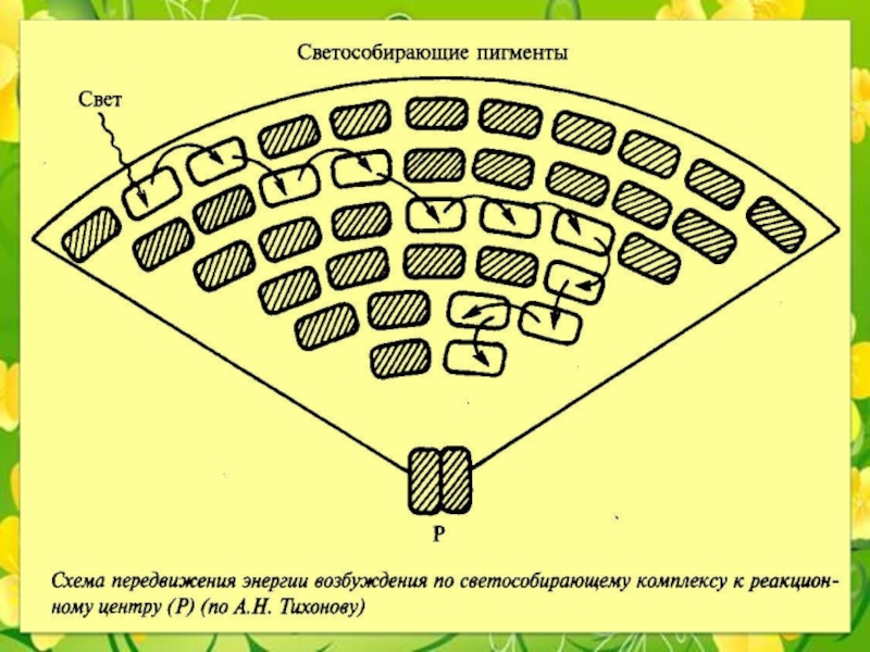 Схема сск онлайн