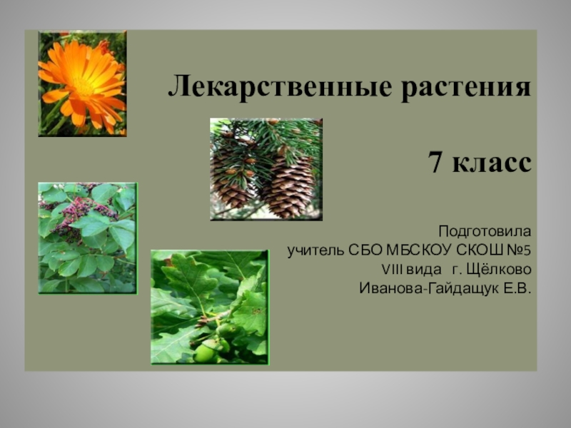 Презентация medicinal plants