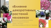 Методический материал на тему Озеленение 7 класс
