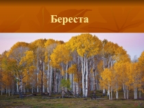 Презентация по изобразительному искусству на тему Ты сам - мастер (5 класс)