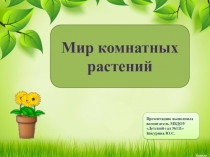 Презентация Мир комнатных растений