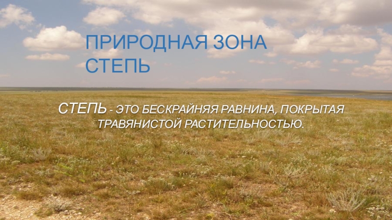 Большая часть зоны степей находится. Природные зоны. Зона степей. Степи России презентация. Природные зоны России.