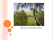 Презентация к уроку Наш район