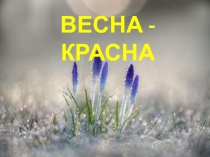 Презентация Весна - красна