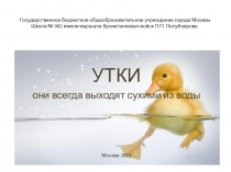 Исследовательский проект Почему утки всегда выходят сухими из воды