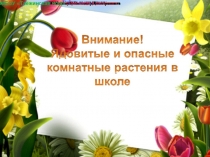 Внимание! Ядовитые и опасные комнатные растения в школе