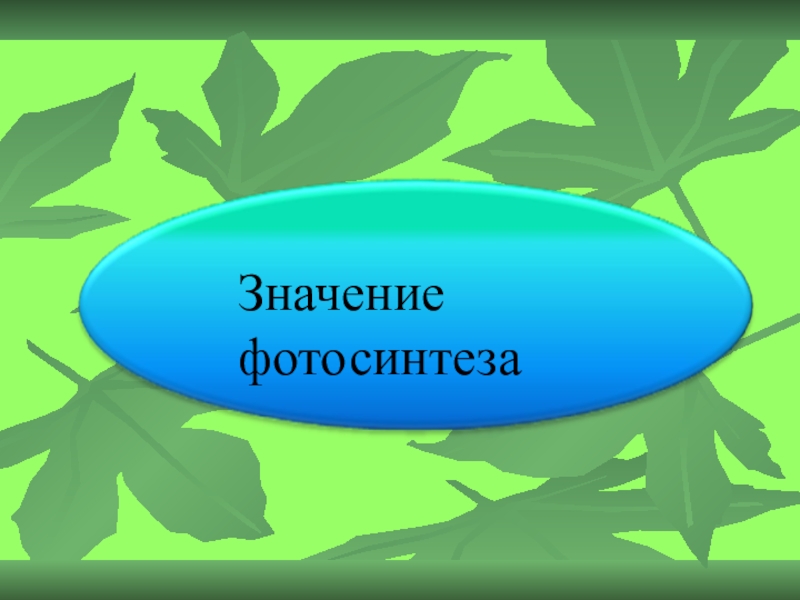 Роль фотосинтеза в природе. Значение фотосинтеза. Значение фотосинтеза 9 класс биология. Значение фотосинтеза презентация 9 класс. Картинка фотосинтез спасибо за внимание.