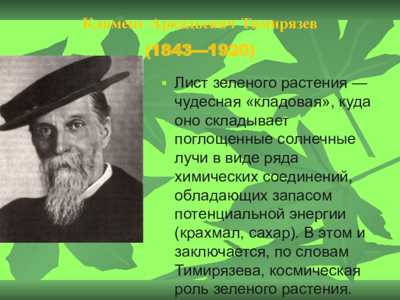 Космическая роль растений. Климент Аркадьевич Тимирязев о космической роли растений. Тимирязев Космическая роль растений. Тимирязев фотосинтез. Тимирязева фотосинтез.