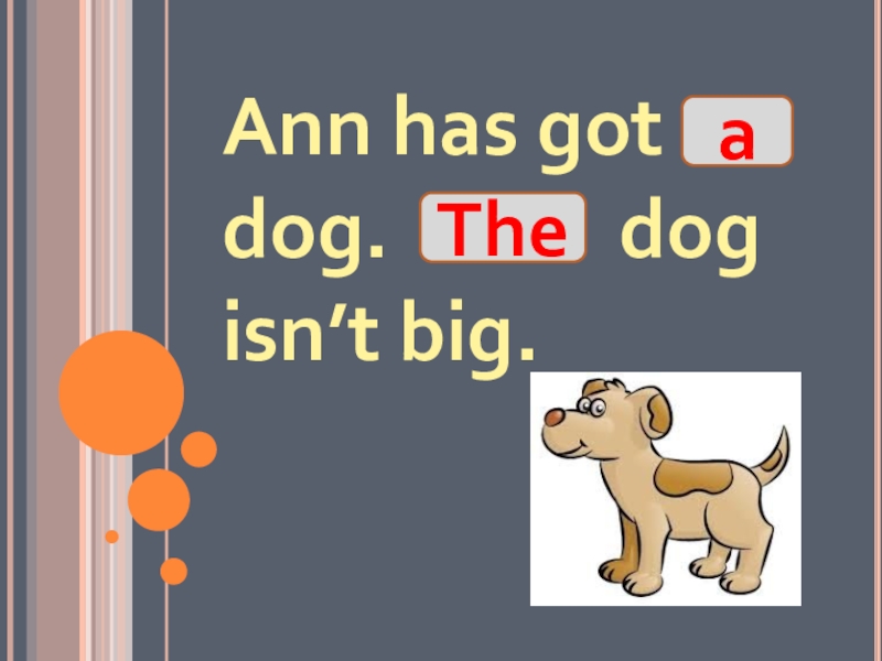 She has got a dog. I have got a Dog вопрос. He has got a Dog задать вопрос. Have you got a Dog или do you have a Dog. I have got.