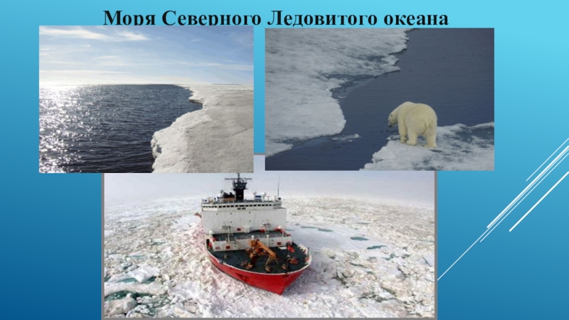 Презентация к уроку окружающего мира по теме По морским просторам (4 класс) Моря Северного Ледовитого океана Моря Северного Ледовитого океана