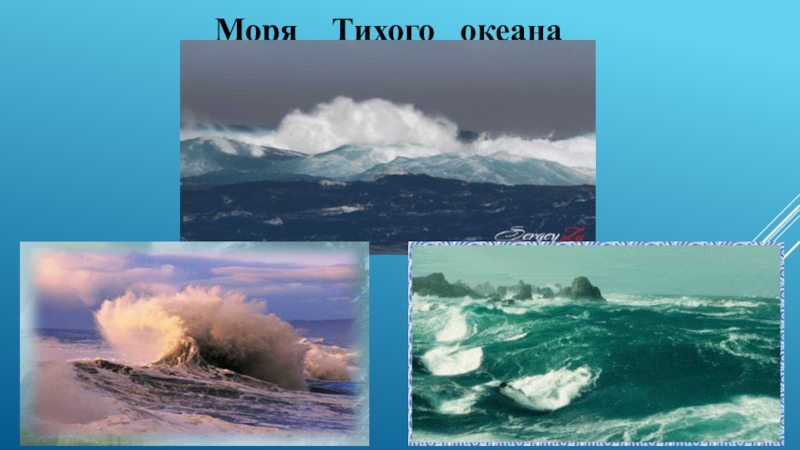 Презентация к уроку окружающего мира по теме По морским просторам (4 класс) Моря Тихого океана Моря Тихого океана