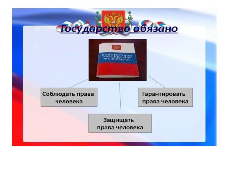 Правовой статус человека и гражданина презентация 10 класс право