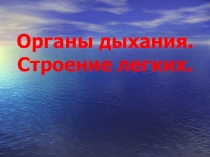 Презентация к уроку Значение дыхания. Органы дыхания. Строение лёгких.