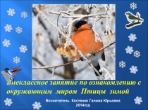 Презентация по окружающему миру Птицы зимой