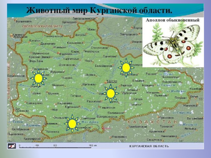 Карта курганской области подробная со всеми городами и селами