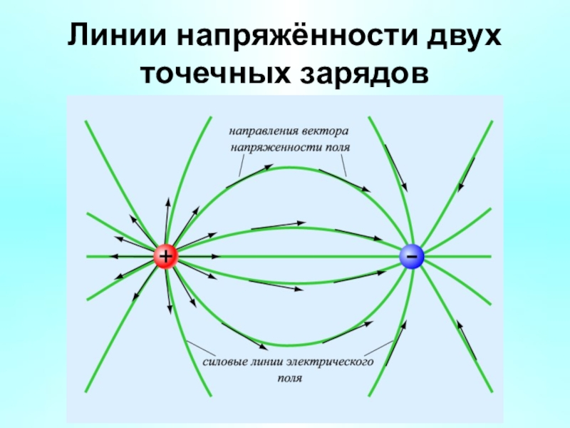 Напряженность электрического поля созданного зарядом. Напряженность электрического поля нескольких точечных зарядов. Линии электрической напряженности 1 положительного заряда. Электростатическое поле, напряженность поля, линии напряженности. Нарисуйте линии напряженности электрического поля зарядов..