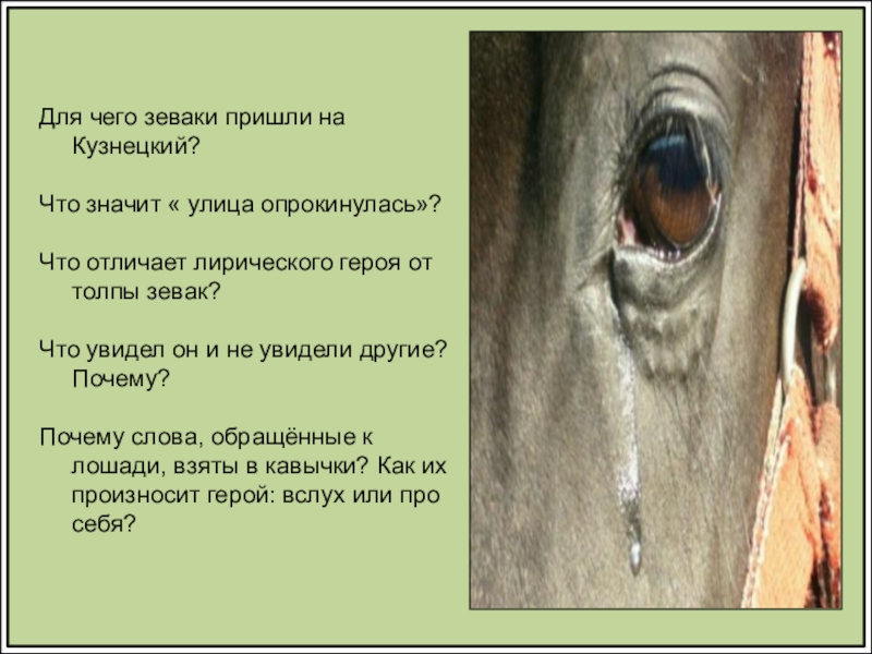 Сострадание в хорошее отношение к лошадям. Для чего зеваки пришли на Кузнецкий. Стихотворение хорошее отношение к лошадям. Хорошее отношение к лошадям Маяковский. Что значит улица опрокинулась.