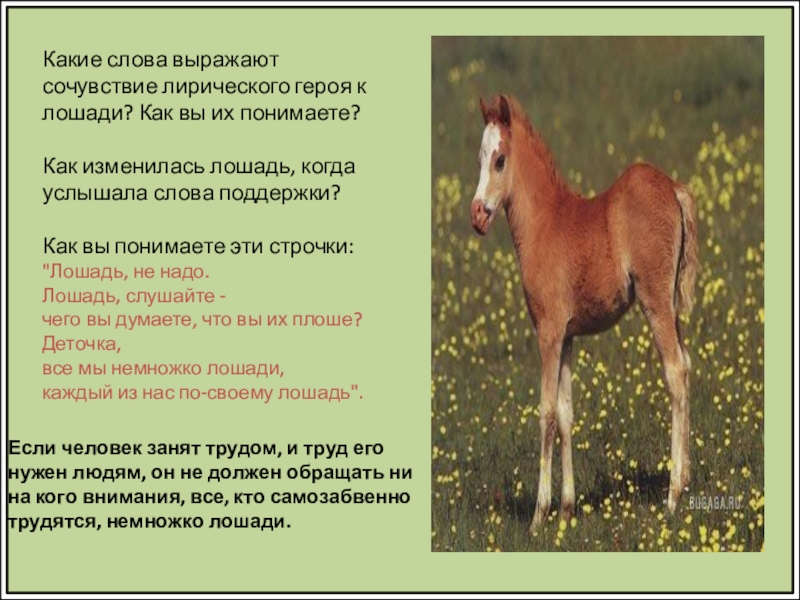 Стих маяковского про коня