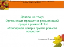 Предметно - развивающая среда в рамках ФГОС в группе раннего возраста
