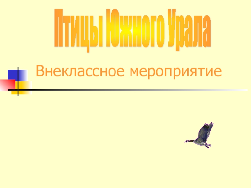 Птицы Южного Урала Фото