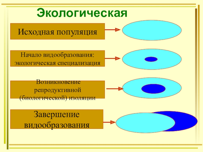 Типы изоляции в биологии схема