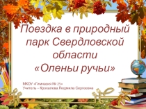 Поездка в природный парк Оленьи ручьи