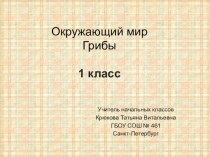 Презентация Грибы подготовка дошкольников к школе