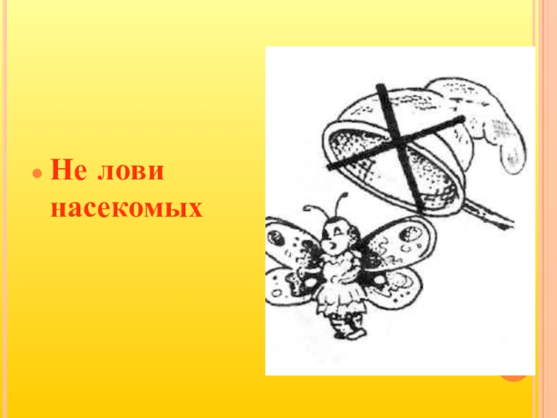 Великан не ловите насекомых. Не лови насекомых. Не ловите насекомых. Береги растения не лови насекомых. Не ловите насекомых для коллекций картинка книги черно белая.