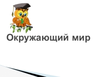 Окружающий мир
